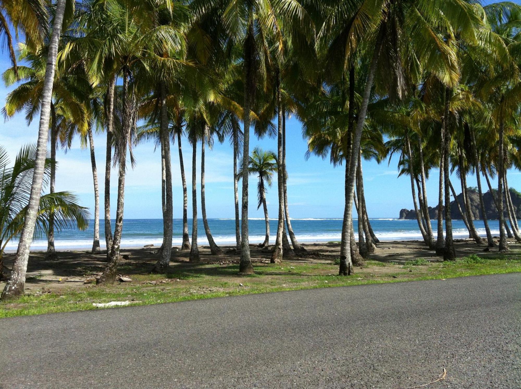 Cabinas El Colibri Puerto Carrillo Ngoại thất bức ảnh